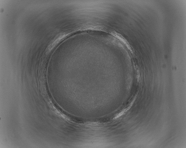 X0000071960577200607141437