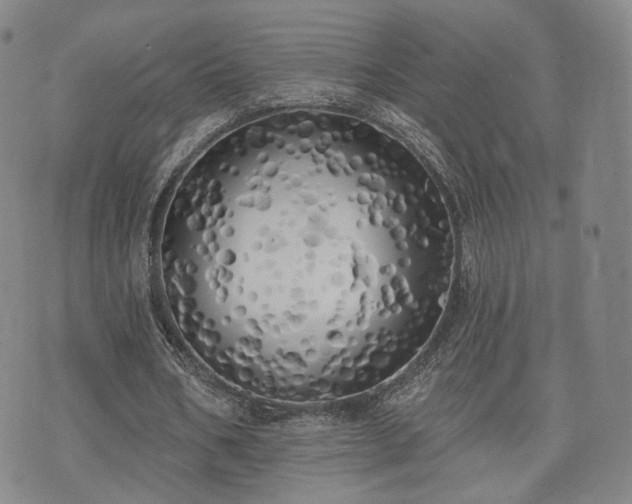 X0000071960578200607141437