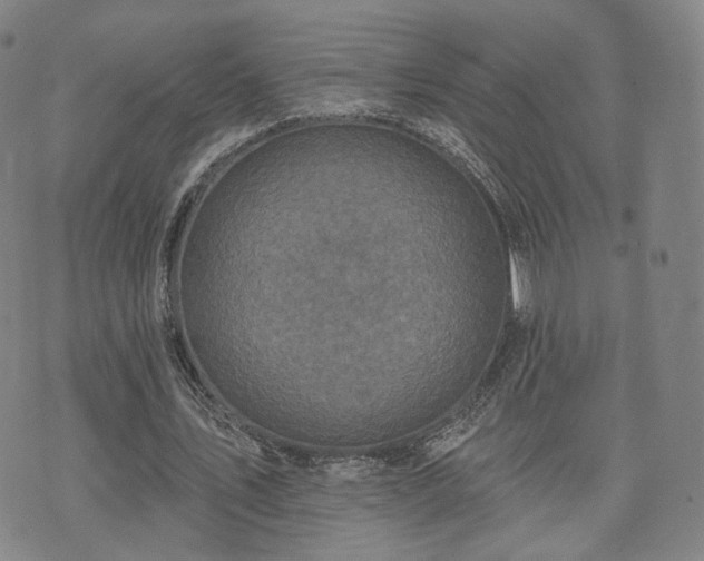 X0000071960579200607141437