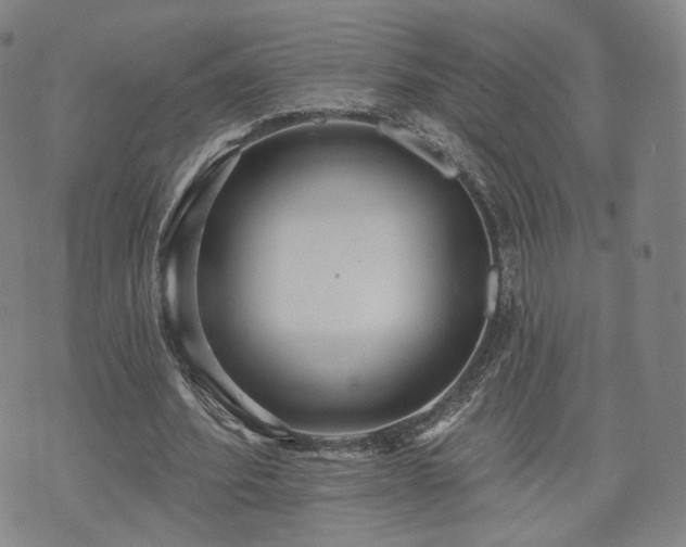 X0000071960580200607141436