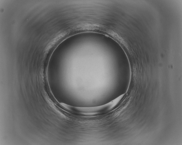 X0000071960581200607141436