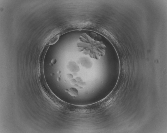 X0000071960582200607141436