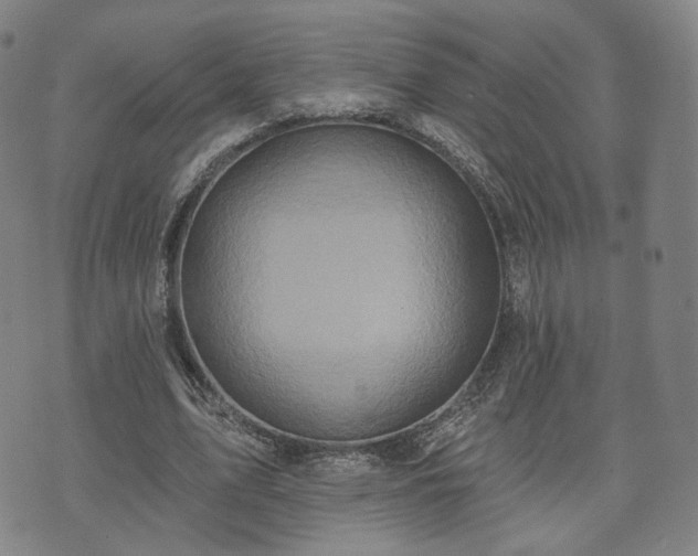 X0000071960583200607141436