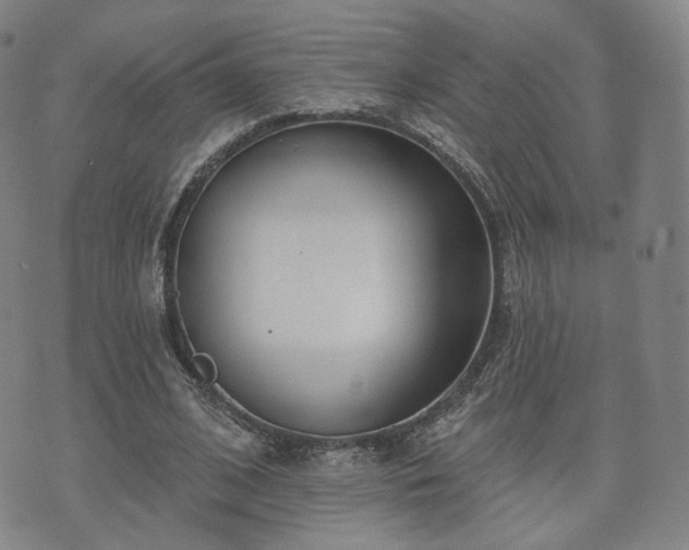 X0000071960584200607141436