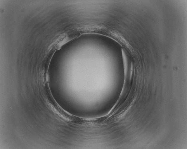 X0000071960585200607141436