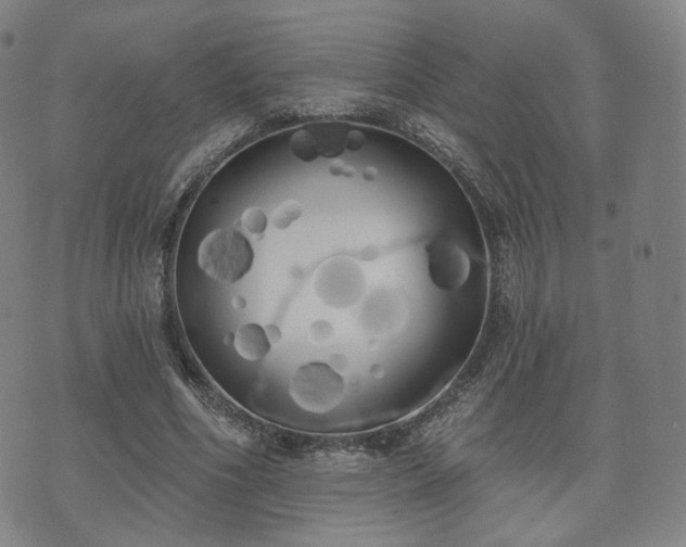 X0000071960586200607141436