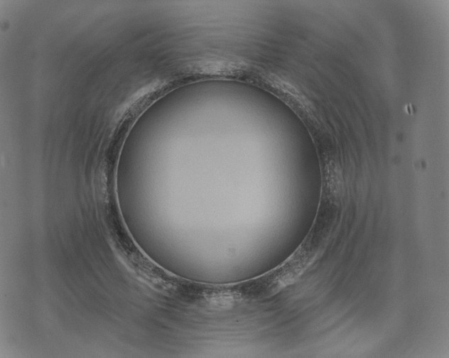 X0000071960587200607141436