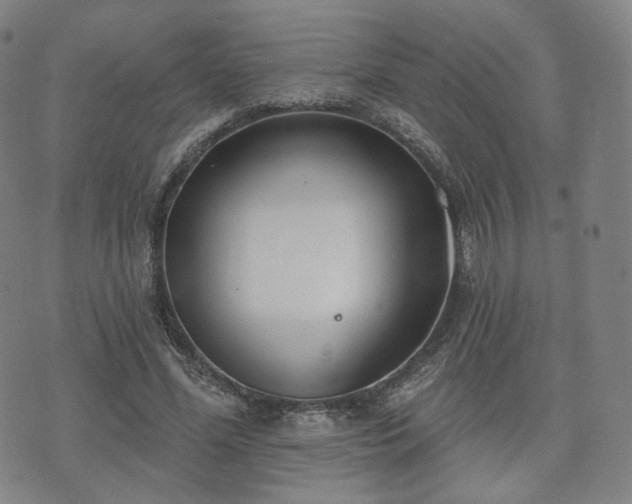 X0000071960588200607141436