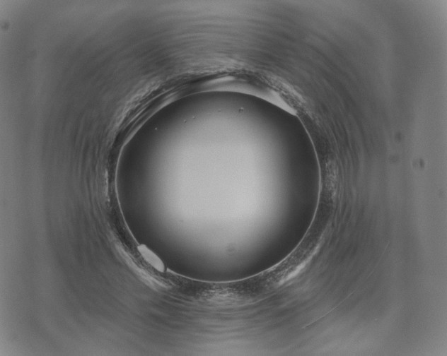 X0000071960589200607141436