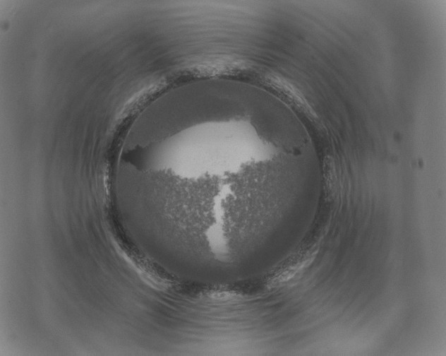 X0000071960590200607141436