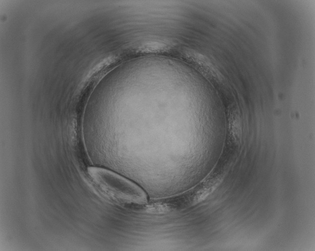 X0000071960591200607141436