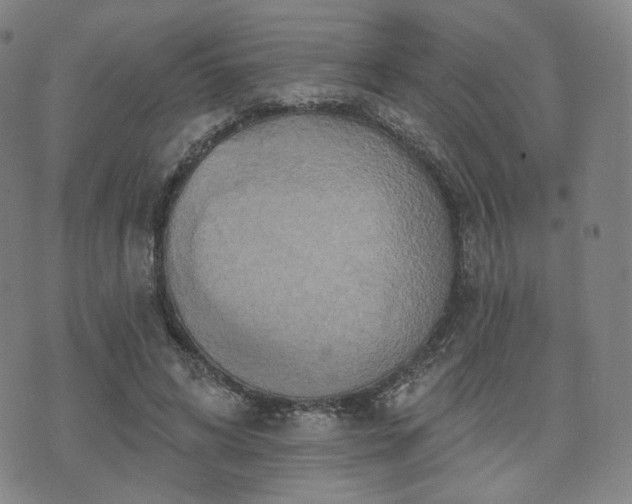 X0000071960592200607141436