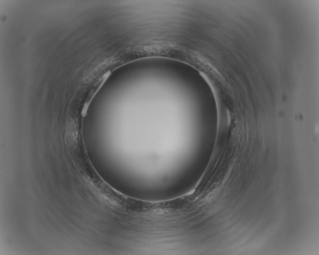 X0000071960593200607141436