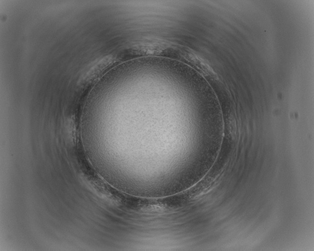 X0000071960594200607141436