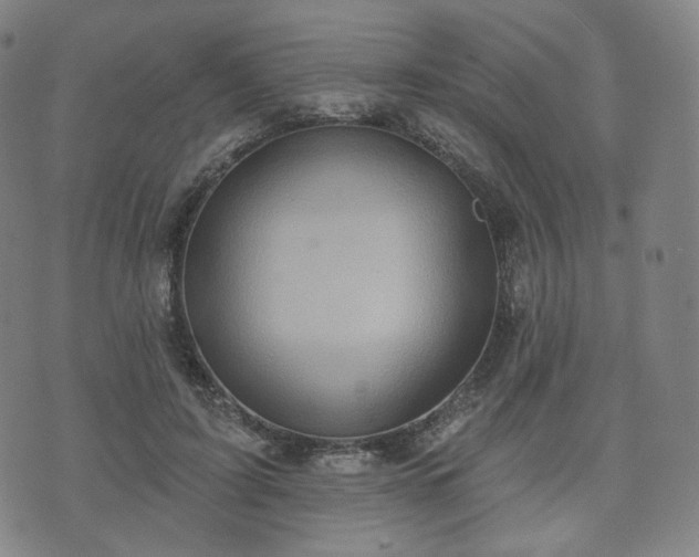 X0000071960595200607141436