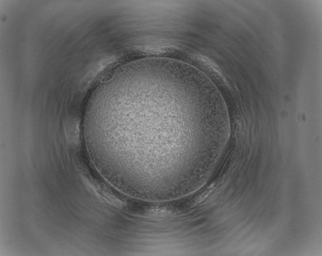 X0000071960596200607141436