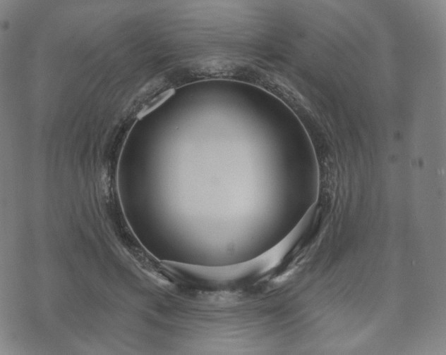 X0000071960597200607141436