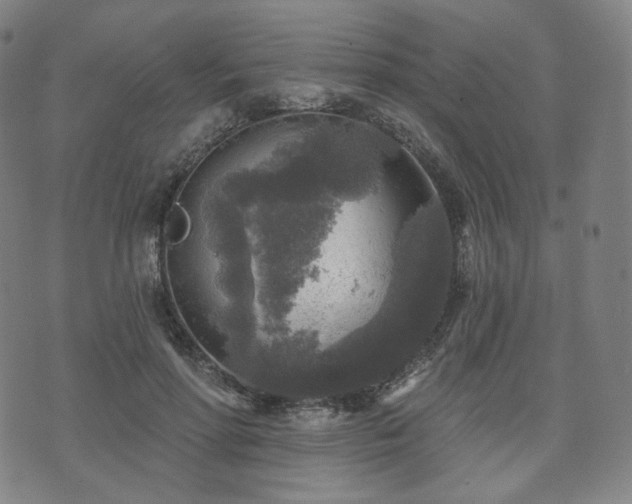 X0000071960598200607141436