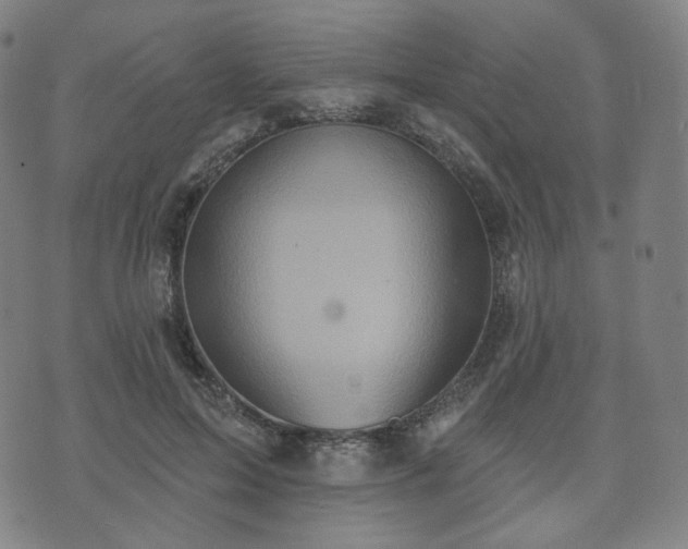 X0000071960599200607141436