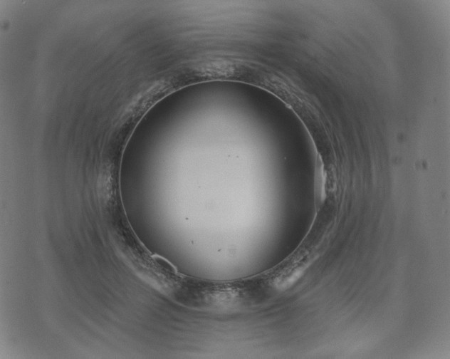 X0000071960600200607141436