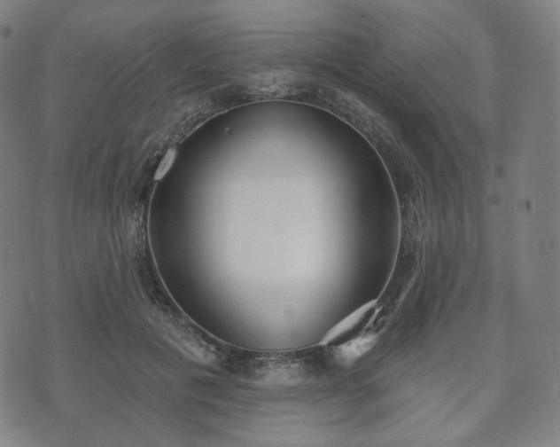 X0000071960601200607141436