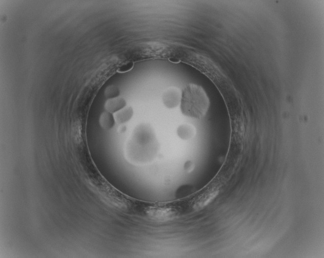 X0000071960602200607141436