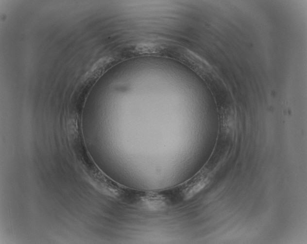 X0000071960603200607141436