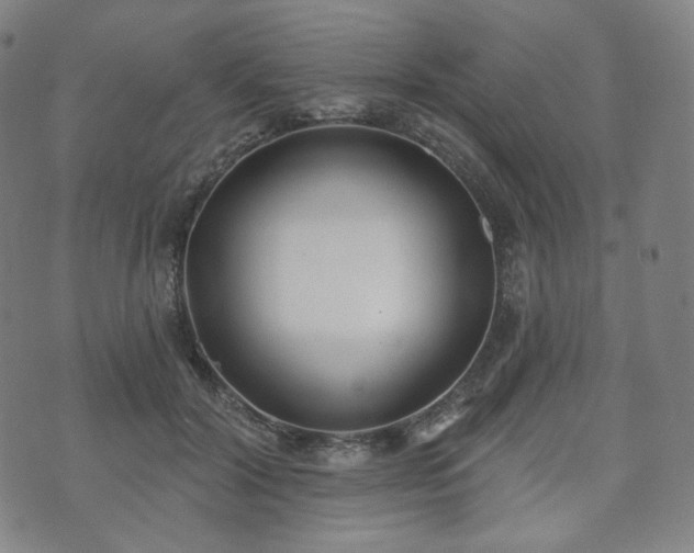 X0000071960604200607141436