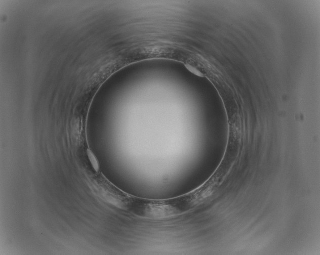 X0000071960605200607141436