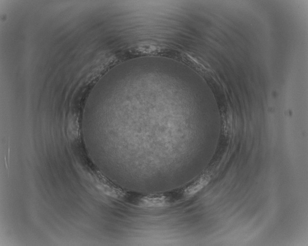 X0000071960606200607141436