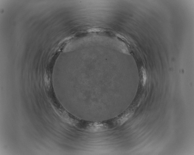 X0000071960607200607141436