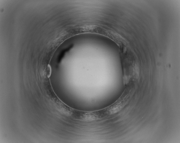 X0000071960608200607141436