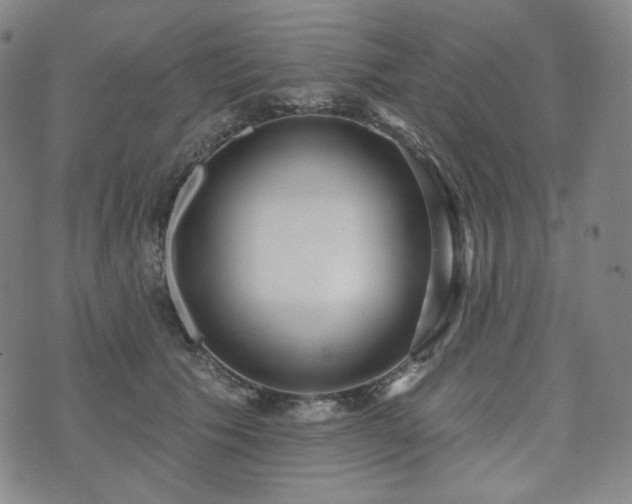 X0000071960609200607141436