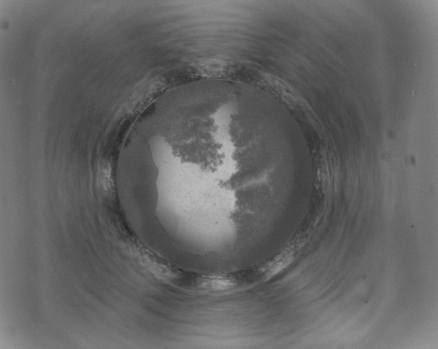 X0000071960610200607141436