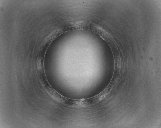 X0000071960611200607141436