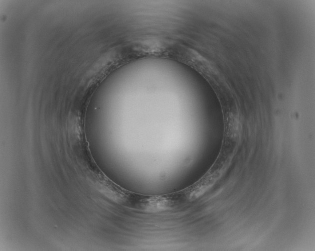 X0000071960612200607141436