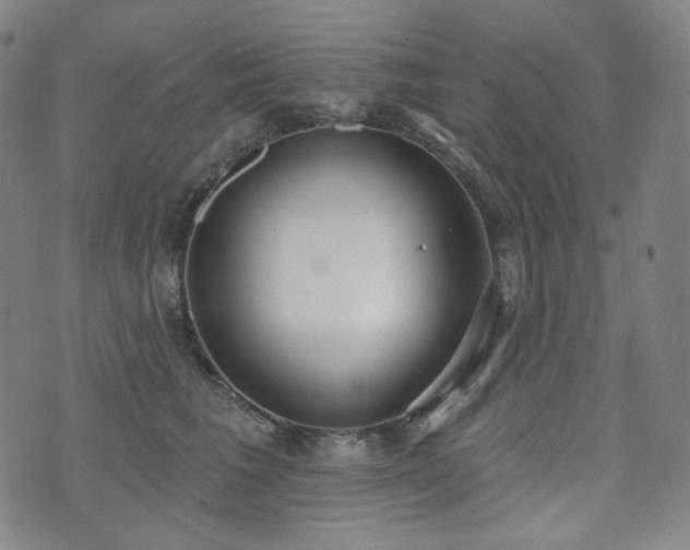 X0000071960613200607141436