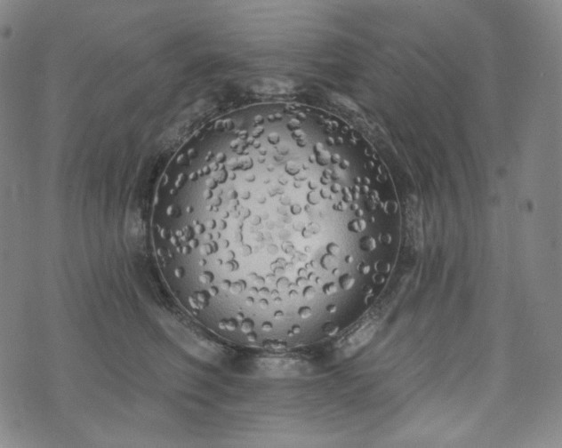 X0000071960614200607141436