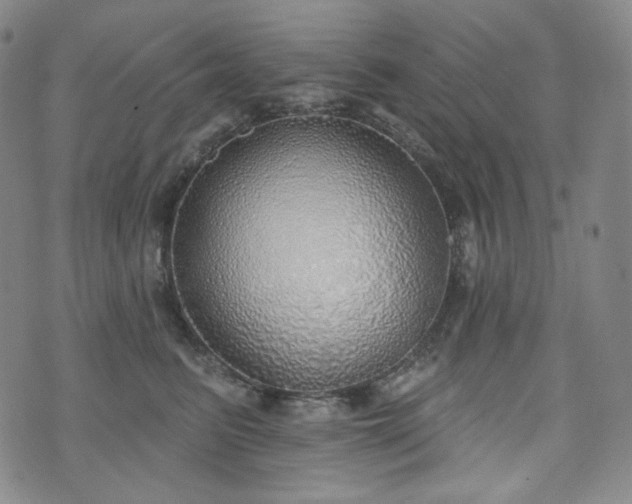 X0000071960615200607141436