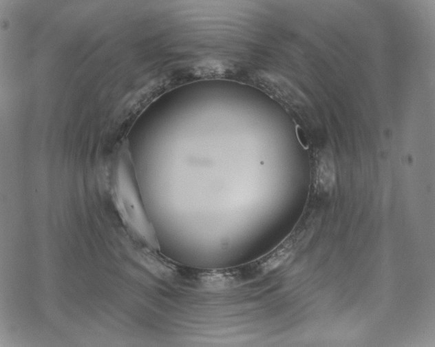 X0000071960616200607141436