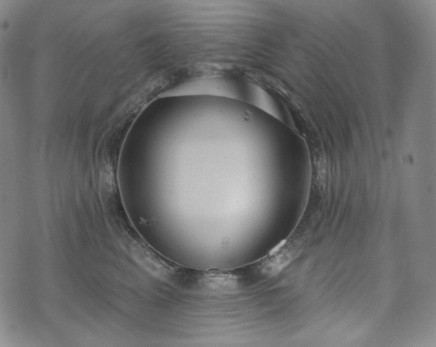 X0000071960617200607141436