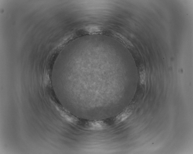 X0000071960618200607141436