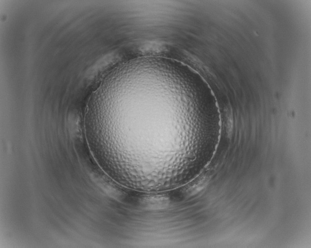 X0000071960619200607141436