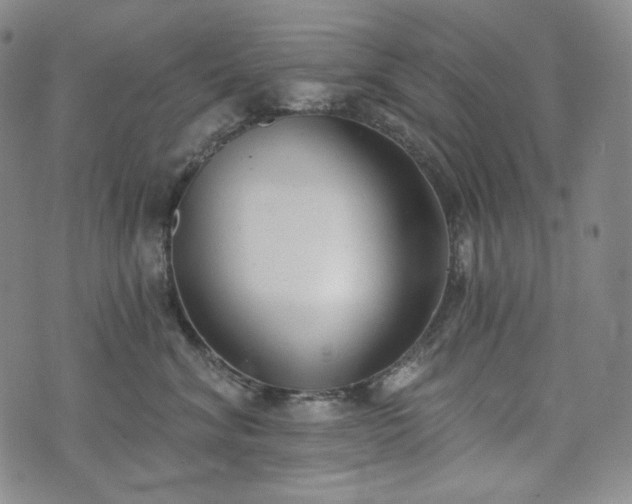 X0000071960620200607141436