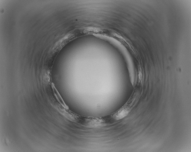 X0000071960621200607141436