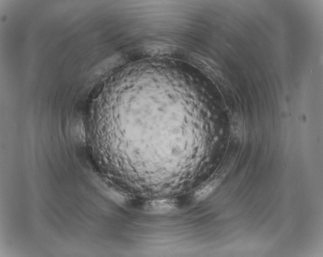 X0000071960622200607141436