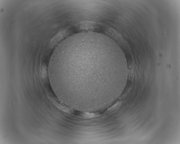 X0000071960623200607141436