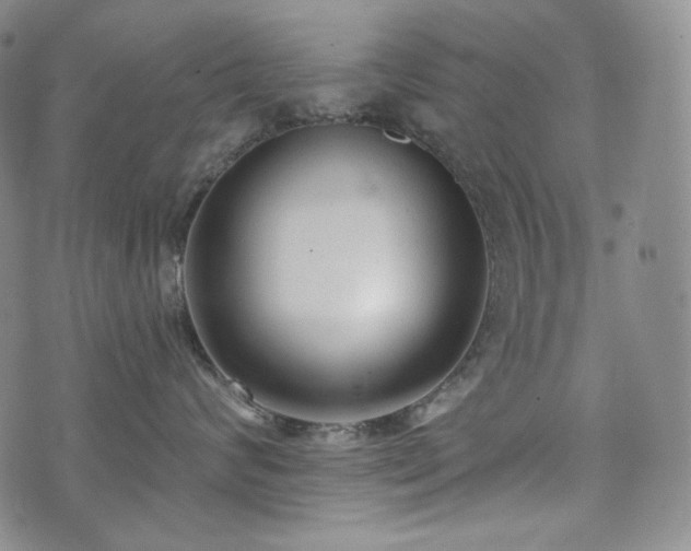 X0000071960624200607141436