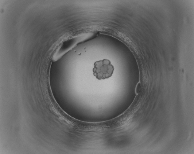 X0000071960625200607141435