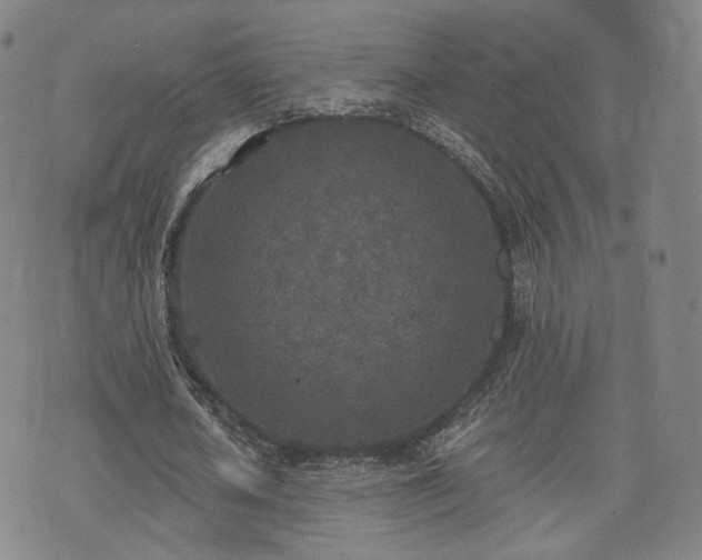 X0000071960626200607141435